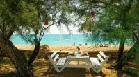 Crystal Tat Beach Pearl Collectıon - 5 Sao