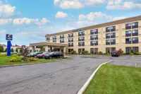 Comfort Inn Binghamton I-81 - Wifi