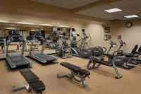 The Davenport Tower, Autograph Collection - gimnasio