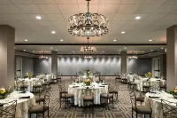Memphis Riverline Hotel - ペット同伴可
