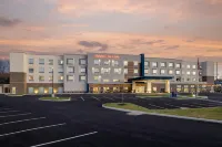Hampton Inn  Suites by Hilton Cincinnati West - Pet friendly