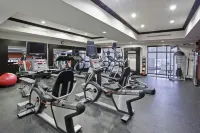 Hampton Inn Matamoras/Milford - Gym
