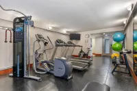 Country Inn & Suites by Radisson, Atlanta Galleria/Ballpark, GA - gimnasio