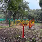 The Olive Green Resort - 3-Star