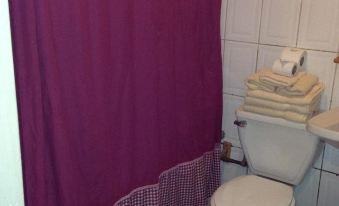 a bathroom with a purple shower curtain , white toilet , and folded towels on the floor at Hotel Miramar