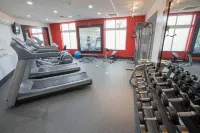 Hilton Garden Inn Atlanta South-McDonough - Træningscentre