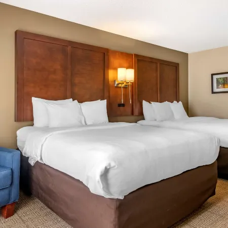 Comfort Inn & Suites Statesboro - University Area