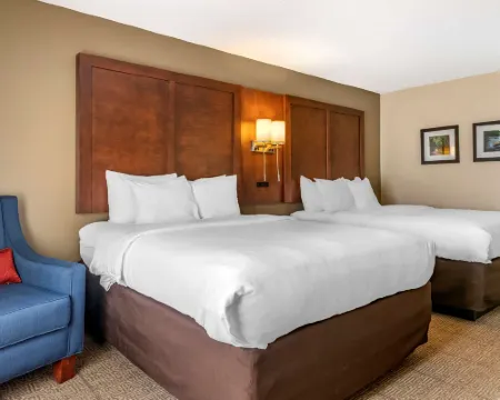 Comfort Inn & Suites Statesboro - University Area Hotels in Statesboro