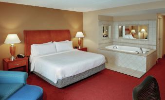 Hilton Garden Inn Chicago O'Hare Airport