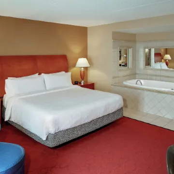 Hilton Garden Inn Chicago O'Hare Airport