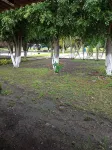 Lodging and Camping the Island Các khách sạn ở 