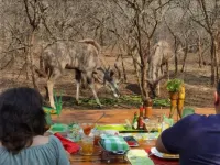 Wielewaal Bush Lodge - breakfast