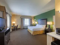 Holiday Inn Express & Suites EAGLE PASS by IHG Hotels in Eagle Pass