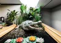 Hotel Crocodile & Crocodile Music Venue