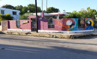 Hostal Guacamayas