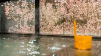 Super Hotel Ikebukuro-Eki Kitaguchi - balneario