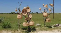 Ongula Village Homestead Lodge Hotels in Ondangwa