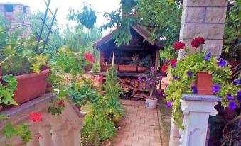 Apartments Anto 1296