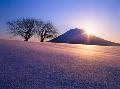 ホテル周辺 湯元ニセコプリンスホテルひらふ亭の写真