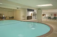 Quality Inn St. Paul-Minneapolis-Midway - Pools