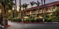 Hotel Pepper Tree Boutique Kitchen Studios - Anaheim Hotels in Anaheim