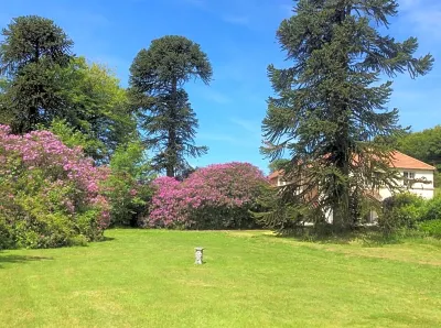 Moorlands Hotels in Challacombe