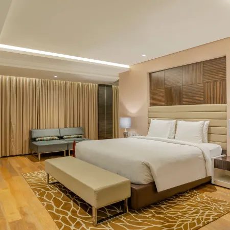 Radisson Udaipur
