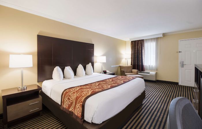 Best Western McKenzie