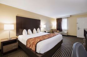 Best Western McKenzie