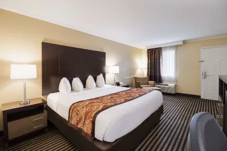 Best Western McKenzie