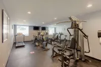 Best Western Plus Toronto Airport Hotel - Gym