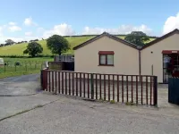 Dylan's Court