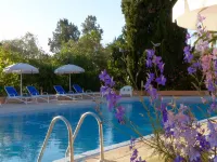 La Villa Mandarine - Pool