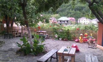 Guest House Olesya