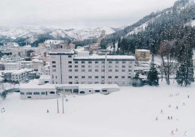 施設外観 越後湯沢温泉 露天大岩風呂の宿 湯沢東映ホテルの写真