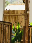 Cozy Cottages Lombok