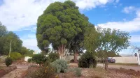 Clunes Motel - Parking