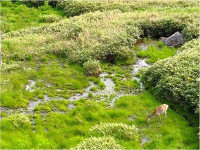 ホテル周辺 ホテル知床の写真