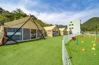 Qingdao is Exciting Dog Glamping