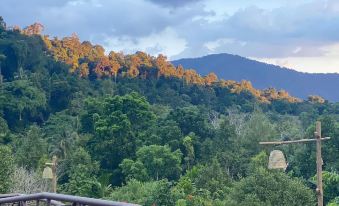 a wooden bridge spanning across a body of water , surrounded by lush green trees and mountains in the background at Khaopubpa Resort