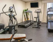 Comfort Inn Near Greenfield Village - Gym