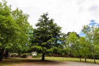 Federation Gardens & Possums Hideaway