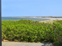 "Legolas" - 50m from the Sea