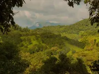 Wayanad Wild- CGH Earth Hotels in Vythiri