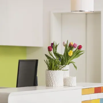 Creatif Hotel Elephant