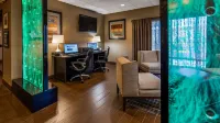 Best Western Plus Wichita West Airport Inn - WiFi