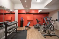 Ramada Plaza by Wyndham Montreal - Gym