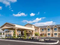 Comfort Inn Hotels in Saugerties