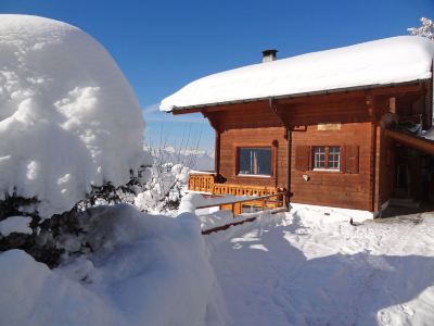 Chalet Zan-Fleuron