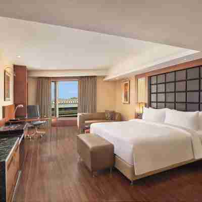 德里機場麗笙世嘉飯店 Rooms